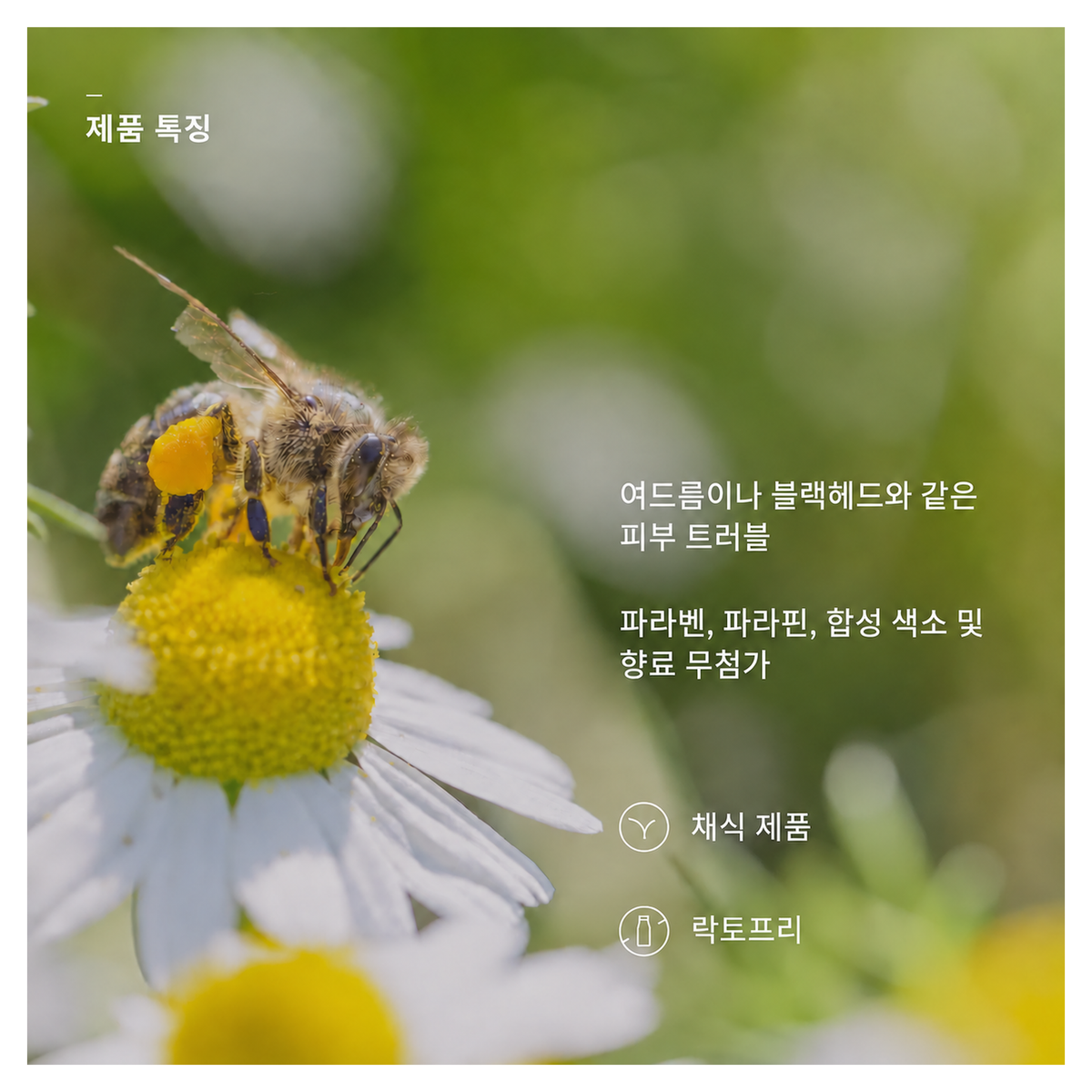 바카나산 프로폴리스 스킨 밤 30ml