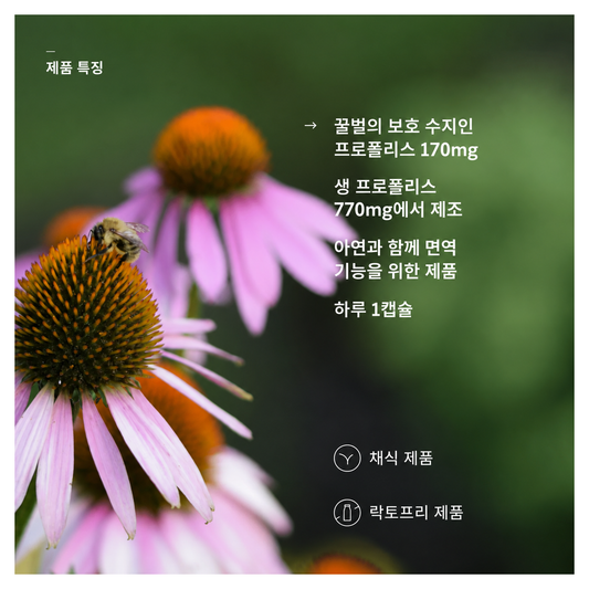 바카나산 프로폴리스 플러스 캡슐 30정