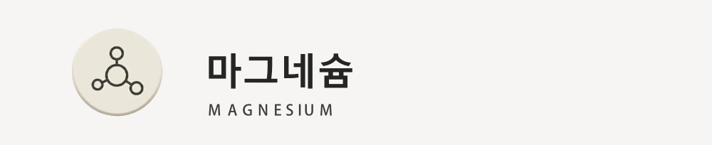 마그네슘