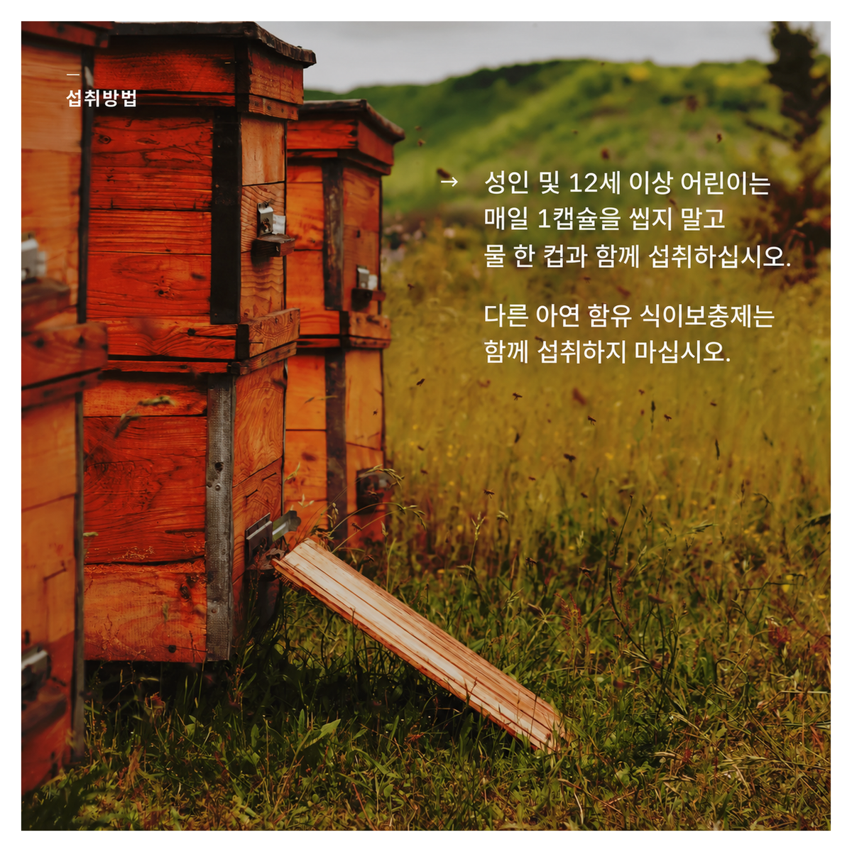 바카나산 프로폴리스 플러스 캡슐 60정