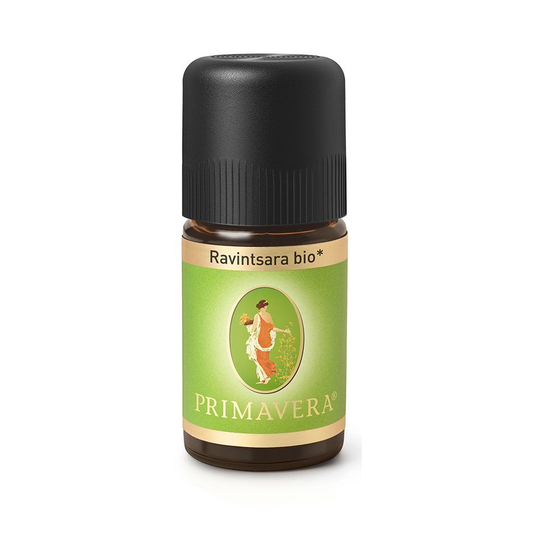 프리마베라 라빈차라 에센셜 오일 마다가스카르 5ml